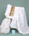 Baby-Squirrel-Swaddles1