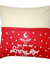 Christmas-special-reading-cushion---red-1