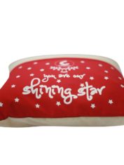 Christmas-special-reading-cushion---red-2