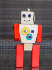 Bot-Robot-1