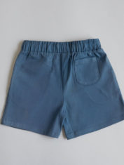 Ross-Blue-Shorts-2