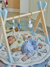 Wooden-Blue-Play-Gym--with-hangings-1