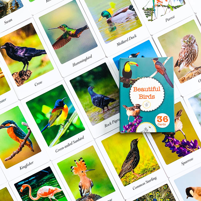 beautiful-birds-flash-cards-happyclouds