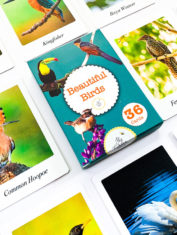 Beautiful-Birds-4-Flash-Cards