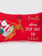 santa-in-sleigh-pillow-1