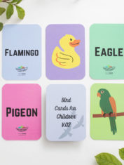 Colour-Contrast-Birds-Flash-Cards-New-1-dec21