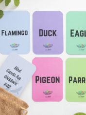 Colour-Contrast-Birds-Flash-Cards-New-2-dec21