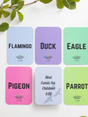 Colour-Contrast-Birds-Flash-Cards-New-3-dec21