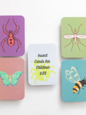 Colour-Contrast-Insects-Flash-Cards-New-1-dec21