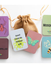Colour-Contrast-Insects-Flash-Cards-New-2-dec21