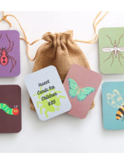 Colour-Contrast-Insects-Flash-Cards-New-3-dec21