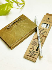 Plantable-Recycled-News-paper-Seed-Pencils---Set-of-10-2