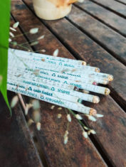 Recycled-News-paper-Plantable-Seed-COLOUR-Pencils--Pack-of-10-1