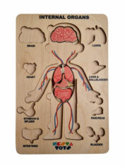 Human-Anatomy-Puzzle-Nesta-Toys-3