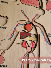 Human-Anatomy-Puzzle-Nesta-Toys-4