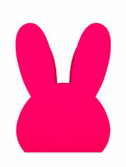 Cyan-Lemon-Bunny-Organiser----Fluorescent-Pink-4