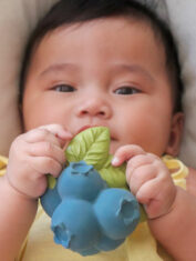 Blueberry-teether-2