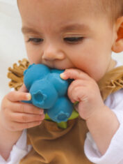 Blueberry-teether-5