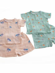 Value-Pack-of-2-Organic-Shorts-and-Tee-Sets-Rompers--Toby-n-Octy-2